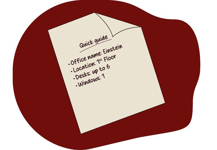 EINSTEIN SUITE